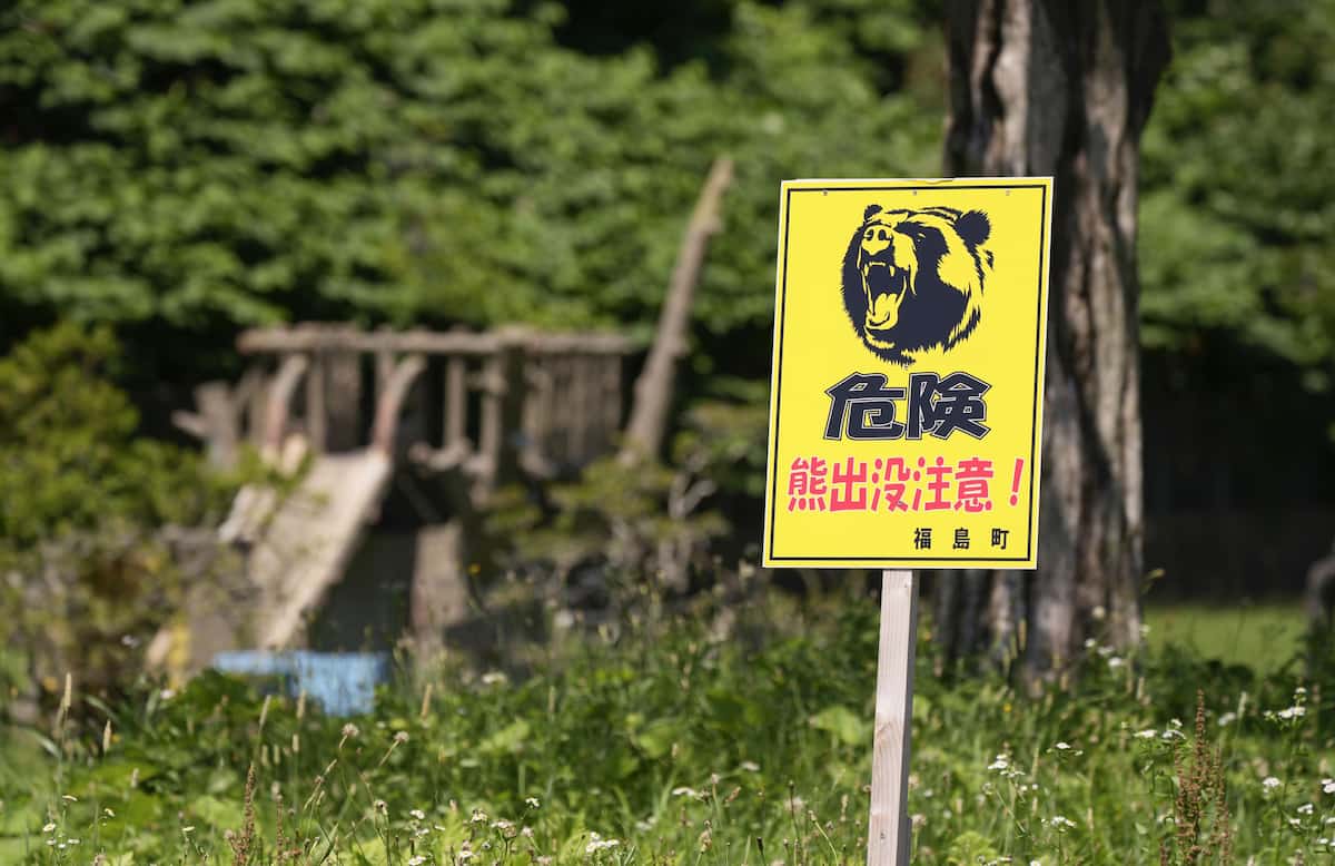 人の食べ物に執着か　ごみ箱あさるヒグマ相次ぐ—北海道福島町